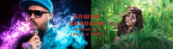 прущая мука Михайлов