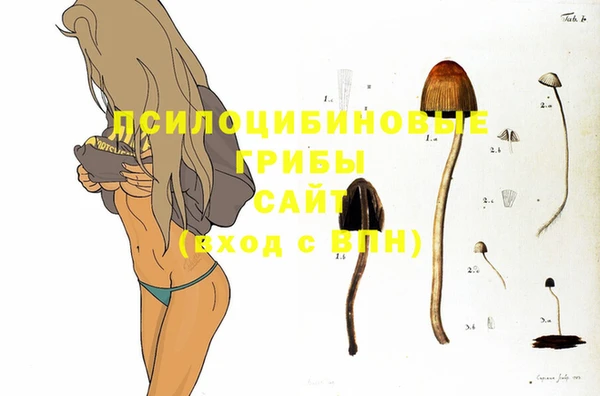MDMA Premium VHQ Михайловск