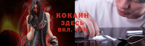 шишки Абинск