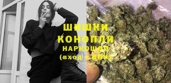 spice Алзамай