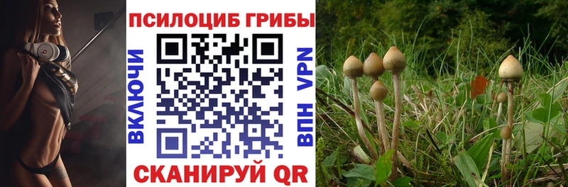 omg зеркало  Тырныауз  Галлюциногенные грибы MAGIC MUSHROOMS  где продают наркотики 